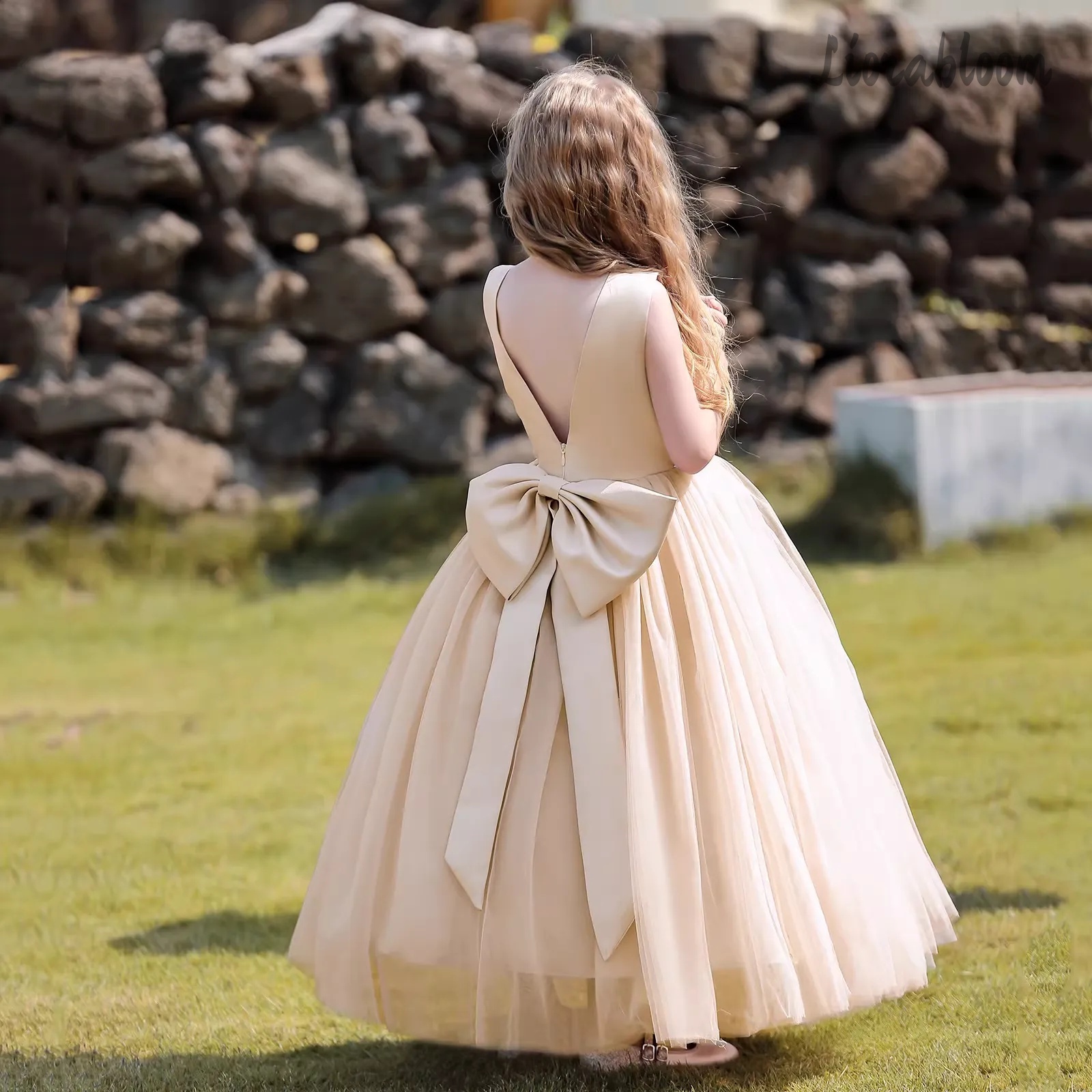 Multicolor Backless Princess D - Women'S Formal Wear For A Wedding 评论和价格